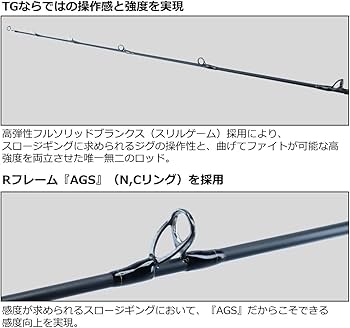 Amazon | ダイワ(DAIWA) ジギングロッド ソルティガ SJ AGS 55B-2 TG