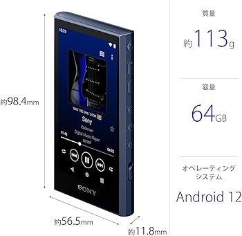 Amazon.co.jp: ソニー(SONY) ウォークマン 64GB A300シリーズ NW-A307