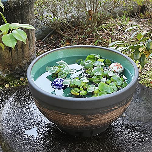 Amazon.co.jp: 信楽焼 睡蓮鉢【13号はけ目水鉢 su-0251】すいれん鉢 蓮