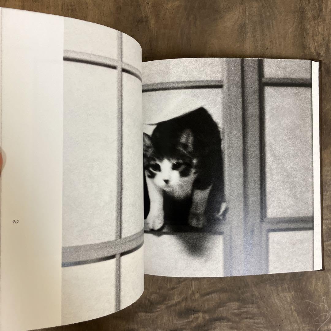 深瀬昌久 afterwordサスケ写真集 猫 2016年 初版限定900部 深瀬昌久