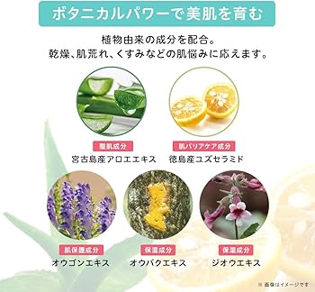 Amazon.co.jp: (旧モデル)プロアクティブ + 薬 用 スマートセット(30日
