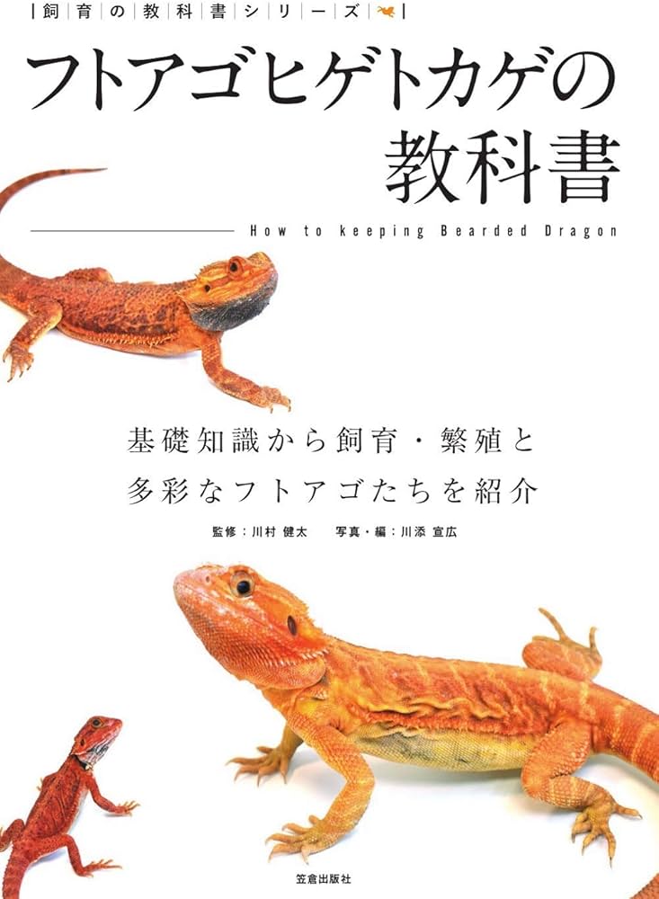 Amazon.co.jp: フトアゴヒゲトカゲの教科書 (飼育の教科書シリーズ