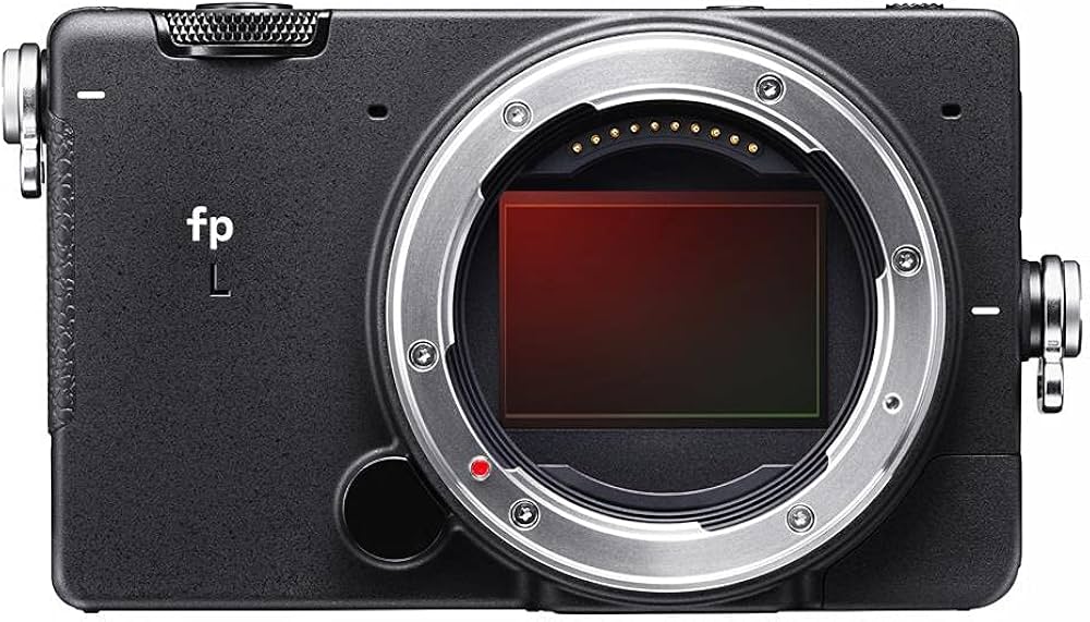 Amazon.co.jp: Sigma FP L Digital Camera : Electronics