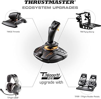 Amazon.com: Thrustmaster T16000M FCS (Compatible with PC