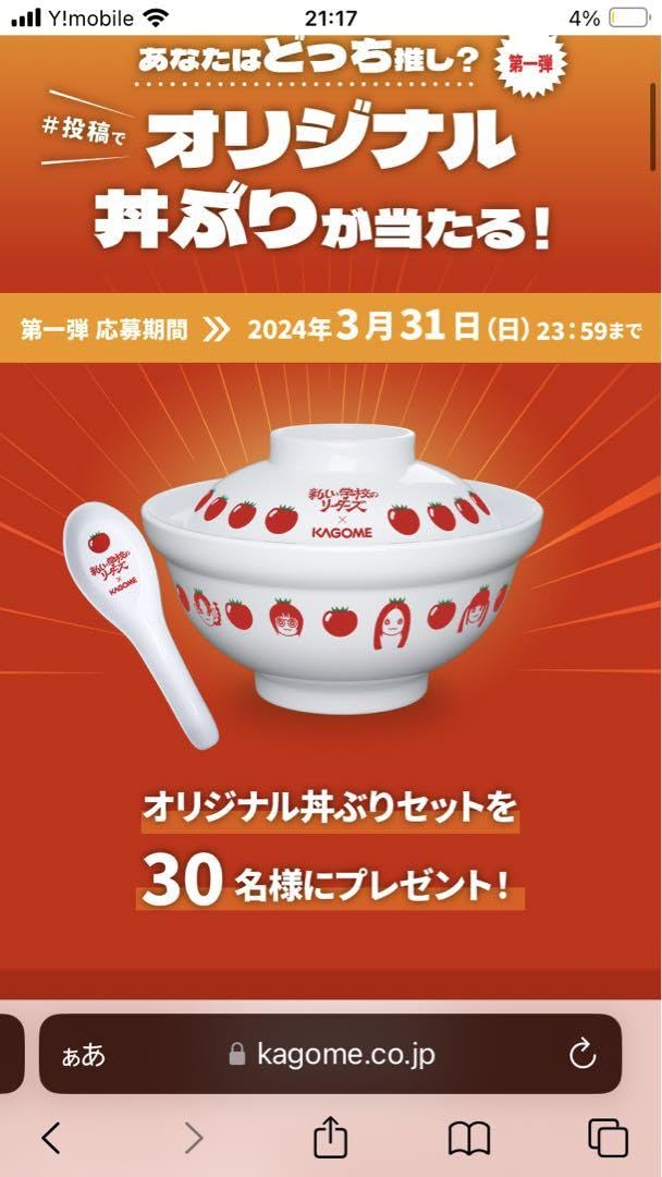 新しい学校のリーダーズ×KAGOME オリジナル丼ぶりセット 新しい学校の