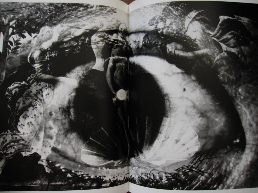 Amazon.co.jp: 薔薇刑 細江英公 三島由紀夫 初版 帯付き : おもちゃ