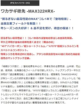 Amazon.co.jp: バリバス(VARIVAS) グラファイトワークス ワカサギ穂先