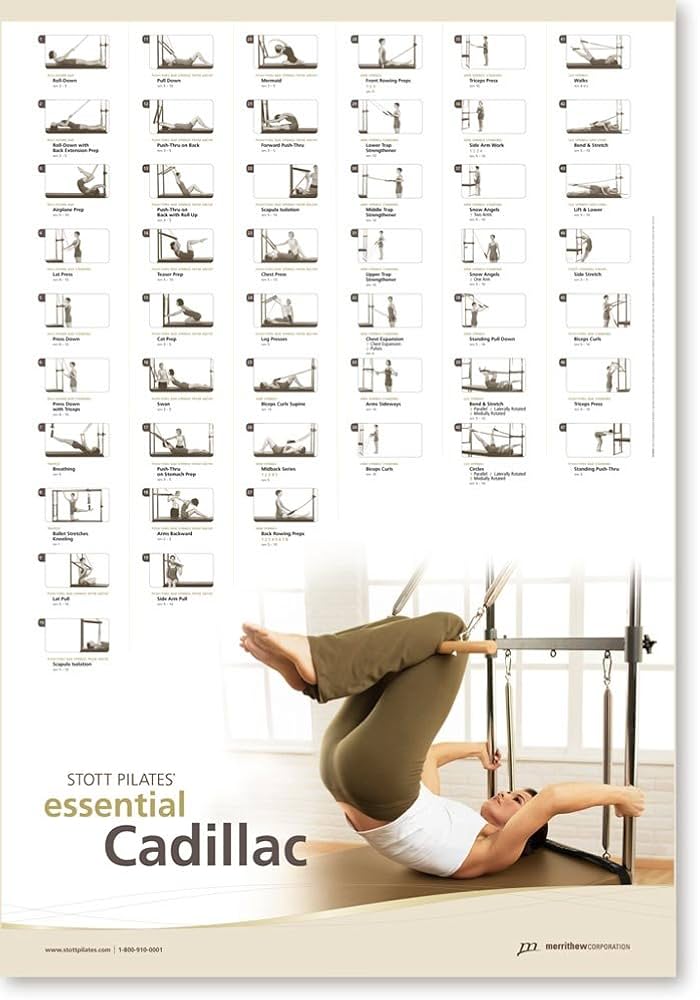 Amazon.co.jp: (Essential Cadillac) - Stott Pilates Essential