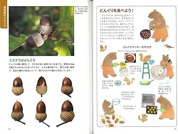 61Ss60e1xRL._AC_UF350,