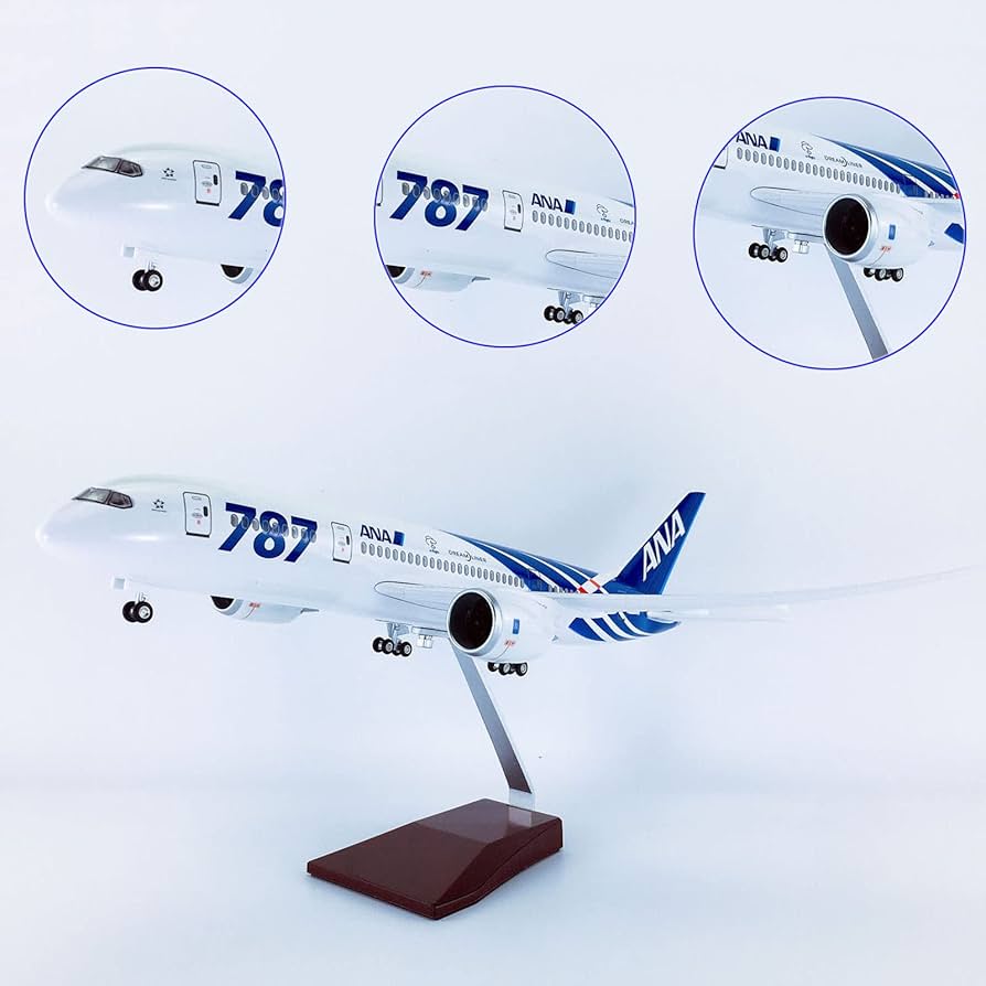 専用】ANA B787 ボーイング1:130スケール ジェット機 ディスプレイ