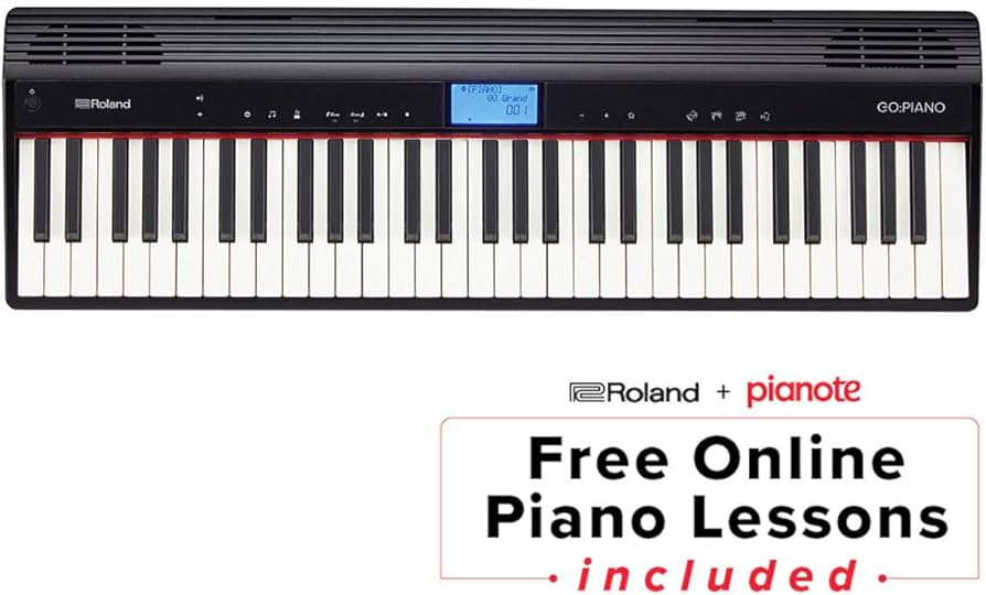 Amazon.com: Roland GO:PIANO 61-Key Portable Digital Piano Keyboard