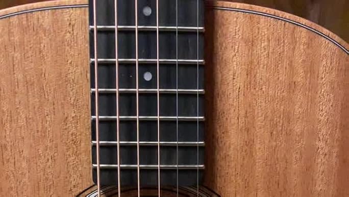 Amazon.com: Taylor ES Go Pickup for GS Mini : Musical Instruments