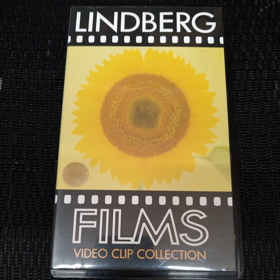 Amazon.co.jp: ほぼ リンドバーグ LINDBERG VHS FILMS VIDEO CLIP