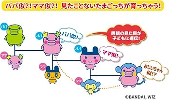 61TbC-xnffL._AC_UF350,