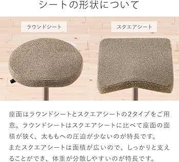 Amazon｜バランスラボ バランスシナジー ラウンド シックグレー