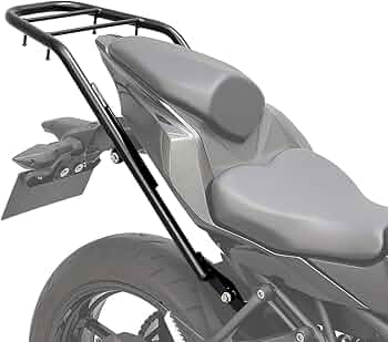 Amazon | エンデュランス バイク リアキャリア (ブラック) Ninja ZX