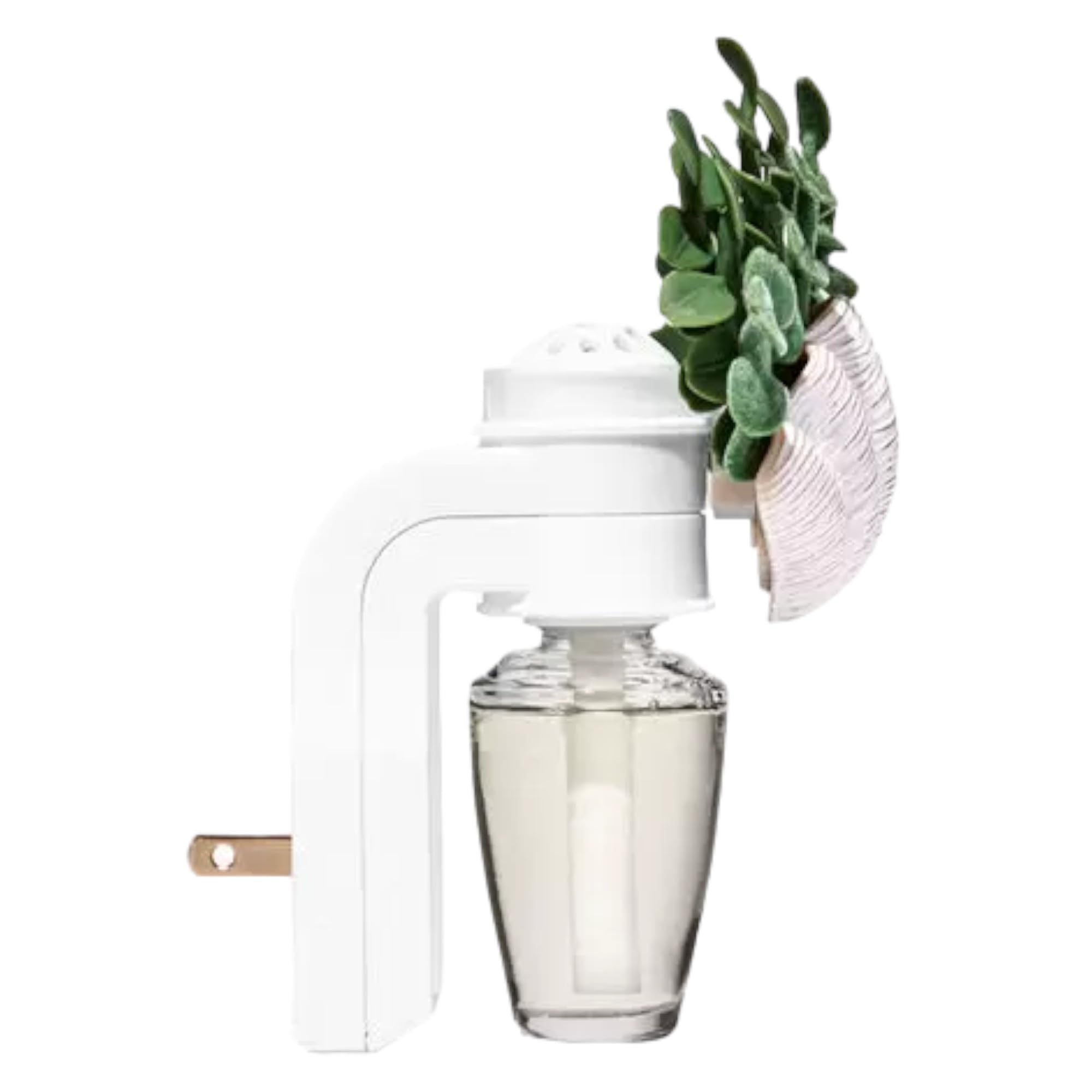 Amazon.com: Bath & Body Works Wallflowers Fragrance Plug