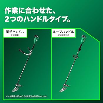 61UnDfBhQzL._AC_UF350,