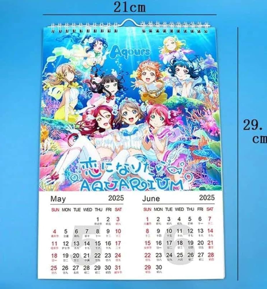 Amazon.co.jp: ラブライブ LoveLive 2025年 カレンダー 壁掛け 13