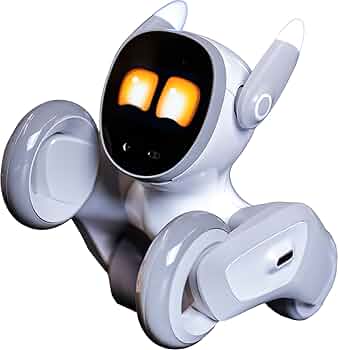 61V9V4lwSsL._AC_UF350,