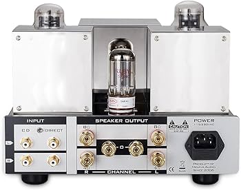 Amazon.co.jp: 300B シングルエンド 内蔵 真空管アンプ A級 HiFi