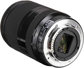 SONY純正 18-200mm 標準+望遠レンズ 極美品 a4694 Amazon.co.jp: Sony