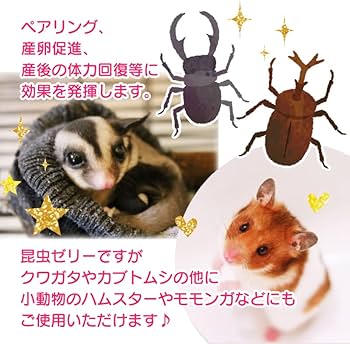 Amazon | KBファーム プロゼリー(16g 1,500個入り) 昆虫 小動物 | KB