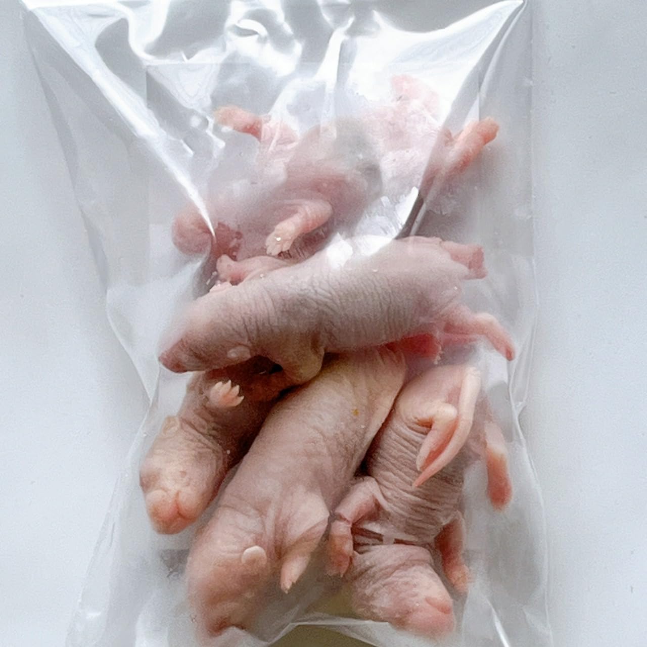 Amazon | 国産冷凍ラット (ピンクラット 4~9g 5匹入り) | 冷凍ラット