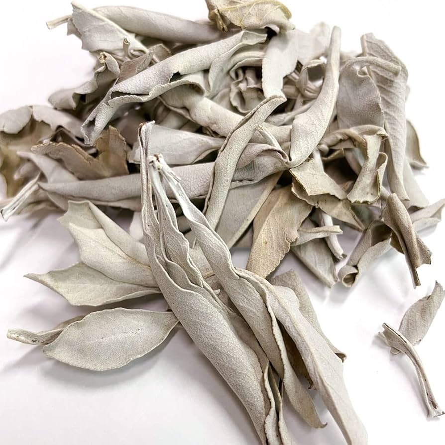 Amazon.co.jp: sin(シン) 無農薬 ホワイトセージ 枝無し(リーフ) 約10g