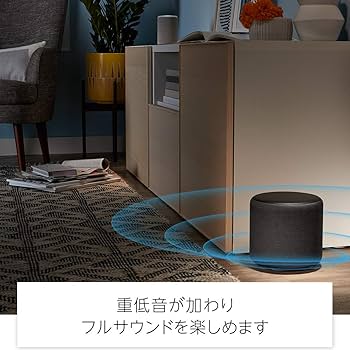 Amazon.co.jp: Echo Sub (エコーサブ) - Echoシリーズ用サブウーファー
