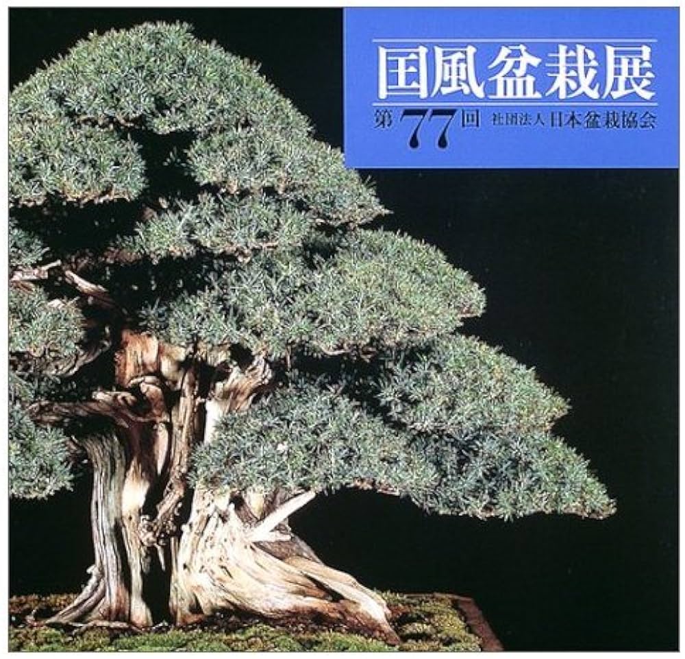 国風盆栽展 コレクション 13冊 国風盆栽展 コレクション 13冊 盆栽】第