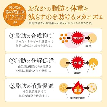 Amazon | 大正製薬 おなかの脂肪が気になる方のタブレット 1袋90粒/30