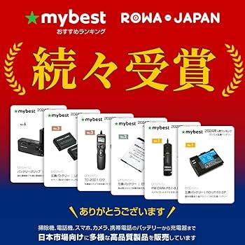 Amazon | 【2個セット】リコー対応 DB-100 CX3 CX4 CX5 CX6 互換