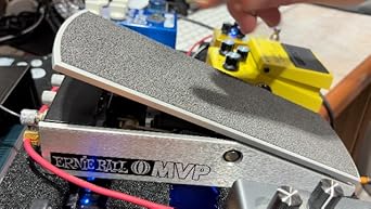 Amazon.com: Ernie Ball MVP Most Valuable Pedal (P06182), 25k