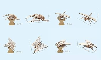 61WJRV0DUJL._AC_UF350,