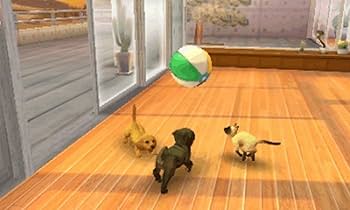 Amazon.com: Nintendogs + Cats: Golden Retriever and New Friends
