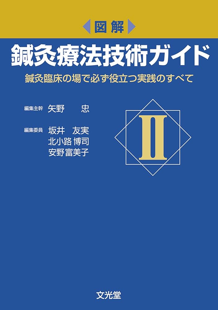 図解 鍼灸療法技術ガイド II: 鍼灸臨床の場で必ず役立つ実践のすべて