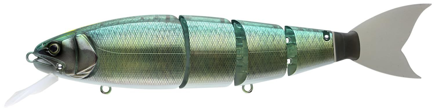 Amazon.co.jp: マドネス(Madness) バラム ヴァリアンテ255 re#02