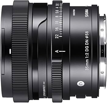 Amazon.com : Sigma 35mm f/2 DG DN Contemporary Lens for Sony E