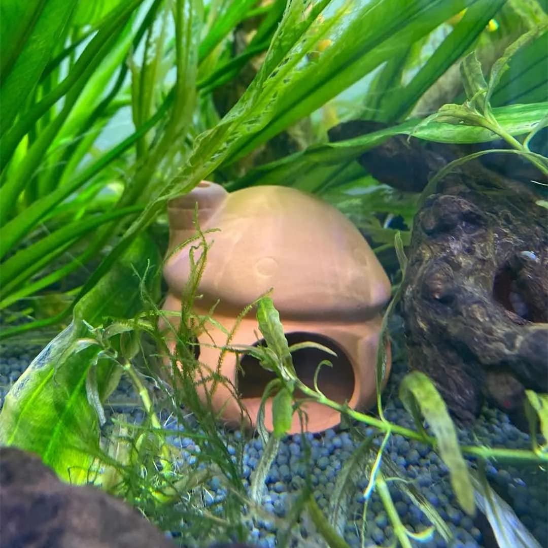 Amazon | MUYYIKA アクアリウム オーナメント 水槽 オブジェ 陶器 洞窟