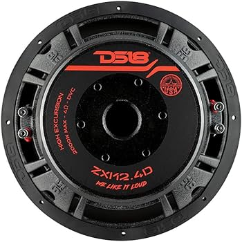 Amazon.com: DS18 Audio ZXI12.4D 12