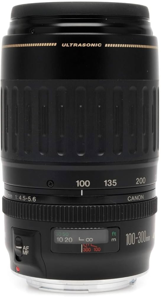 Amazon.com : Canon EF 100-300mm f/4.5-5.6 USM Telephoto Zoom Lens