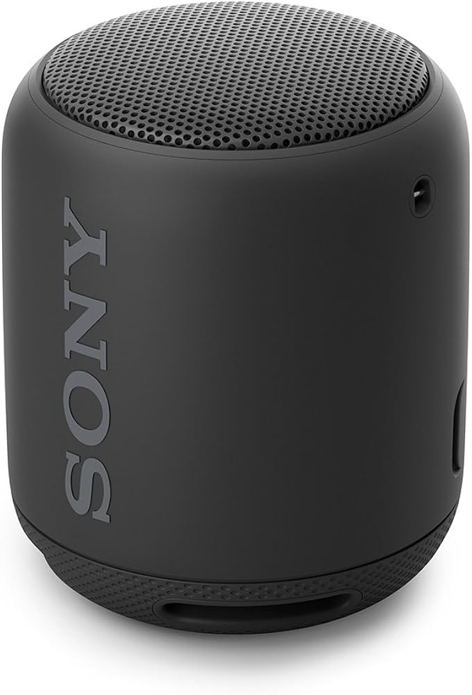 Amazon.co.jp: ソニー ワイヤレスポータブルスピーカー SRS-XB10
