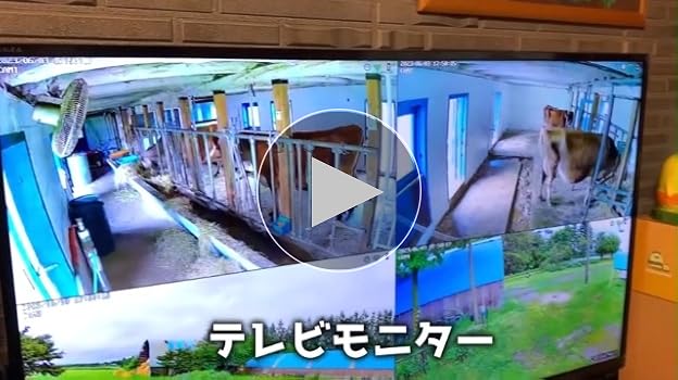 Amazon.co.jp: 【500万高画素夜間カラー・金属製】YESKAMOO 防犯カメラ