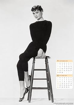 Amazon.co.jp: トライエックス オードリー・ヘプバーン 2025年