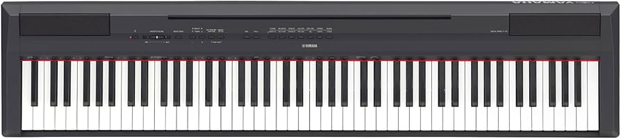Amazon.com: Yamaha P115 88-Key Weighted Action Digital Piano with