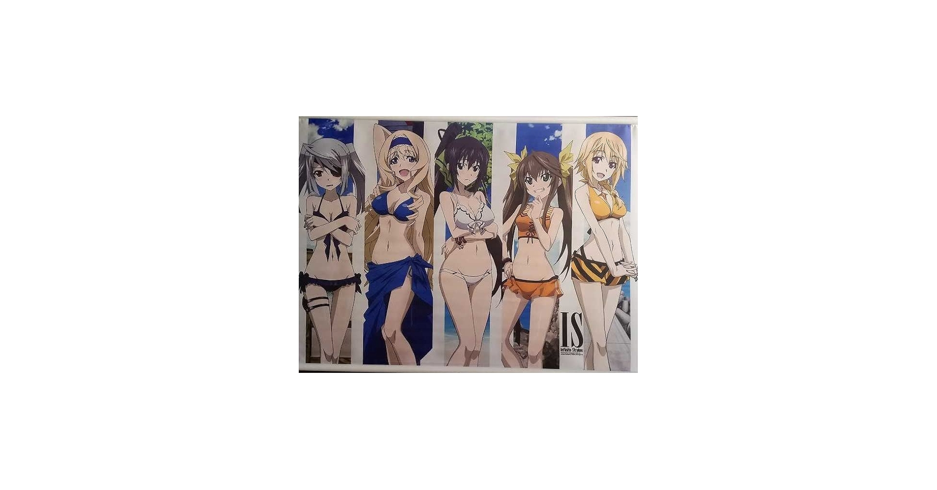 Amazon.co.jp: IS インフィニット・ストラトス 特製小説 CD パック C83