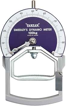 61Y-XMb-yHL._AC_UF350,