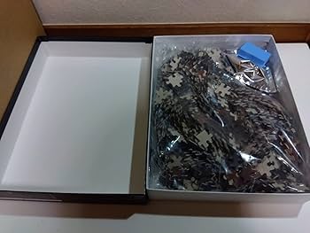 61YpJm6JHrL._AC_UF350,