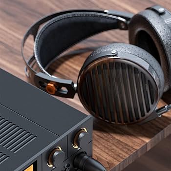 Amazon.co.jp: FIIO FT7 Black FIO-FT7-B【日本正規販売店より発送